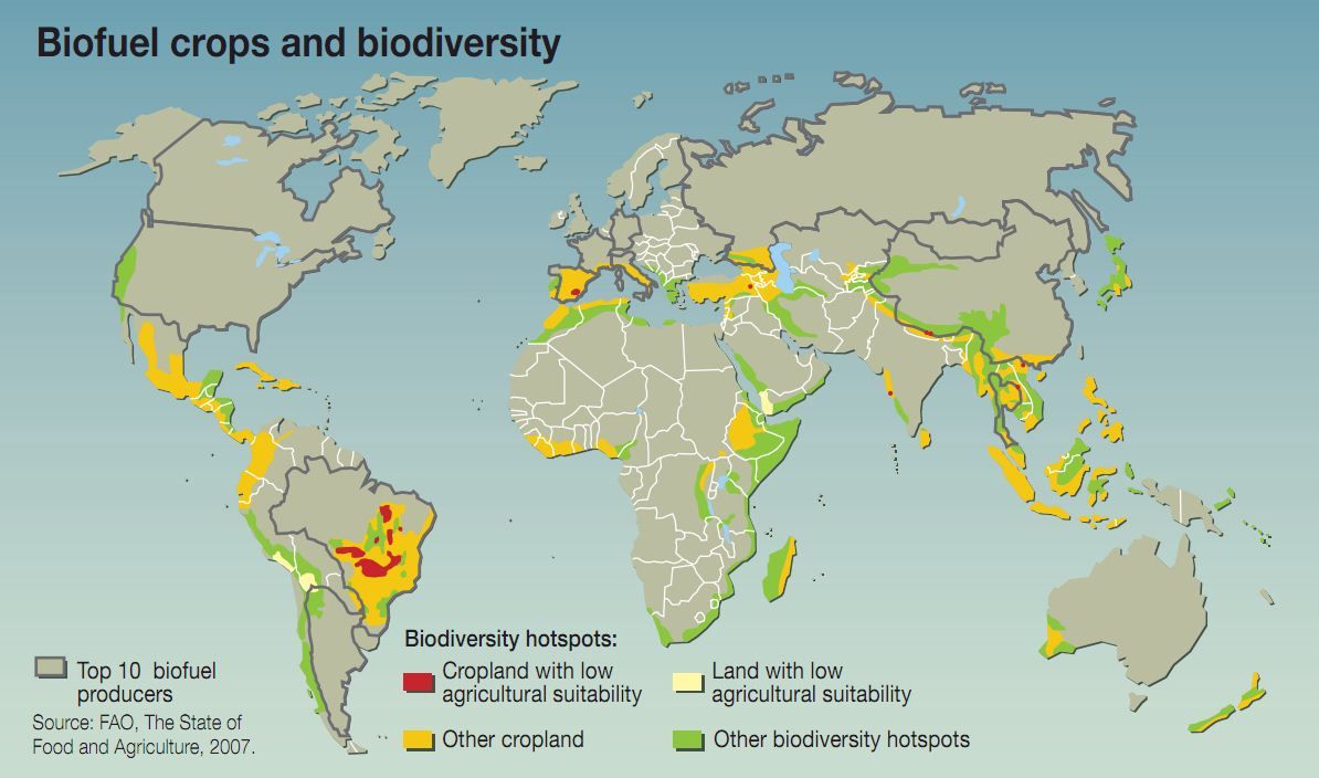 research papers on biofuels from algae research papers on biofuels from algae