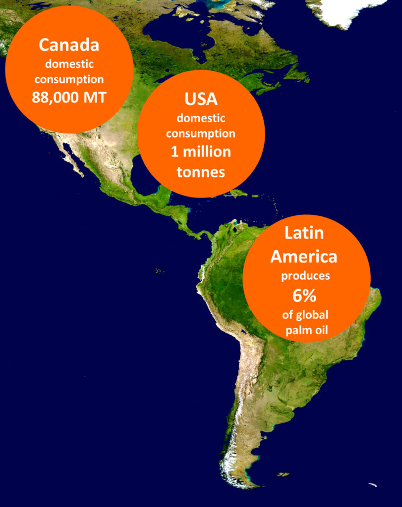 Americas infographic