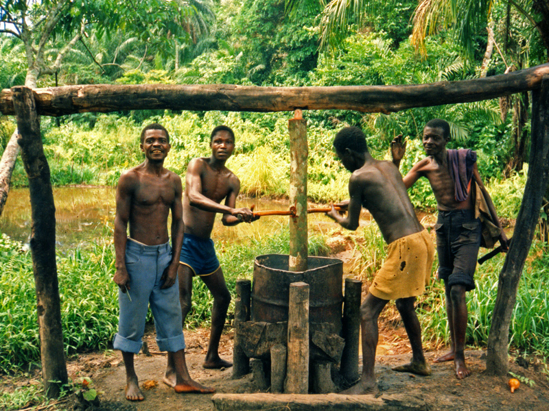 Making_palm_oil,_DR_Congo