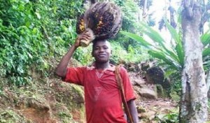 Man carrying fresh fruit bunch to mill ©AYFG