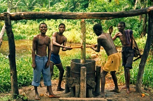 smallholders congo resized