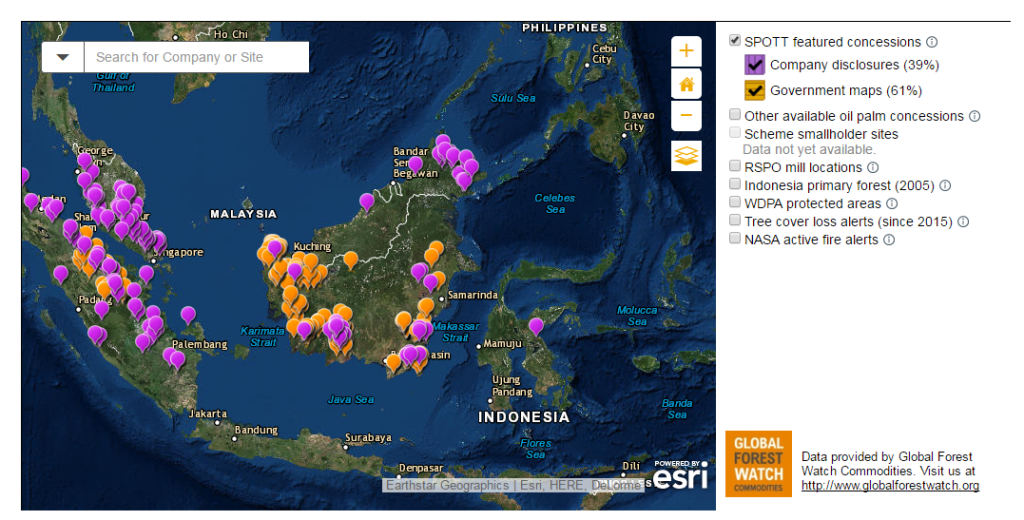 Oil palm concession map of companies featured on the SPOTT scorecard