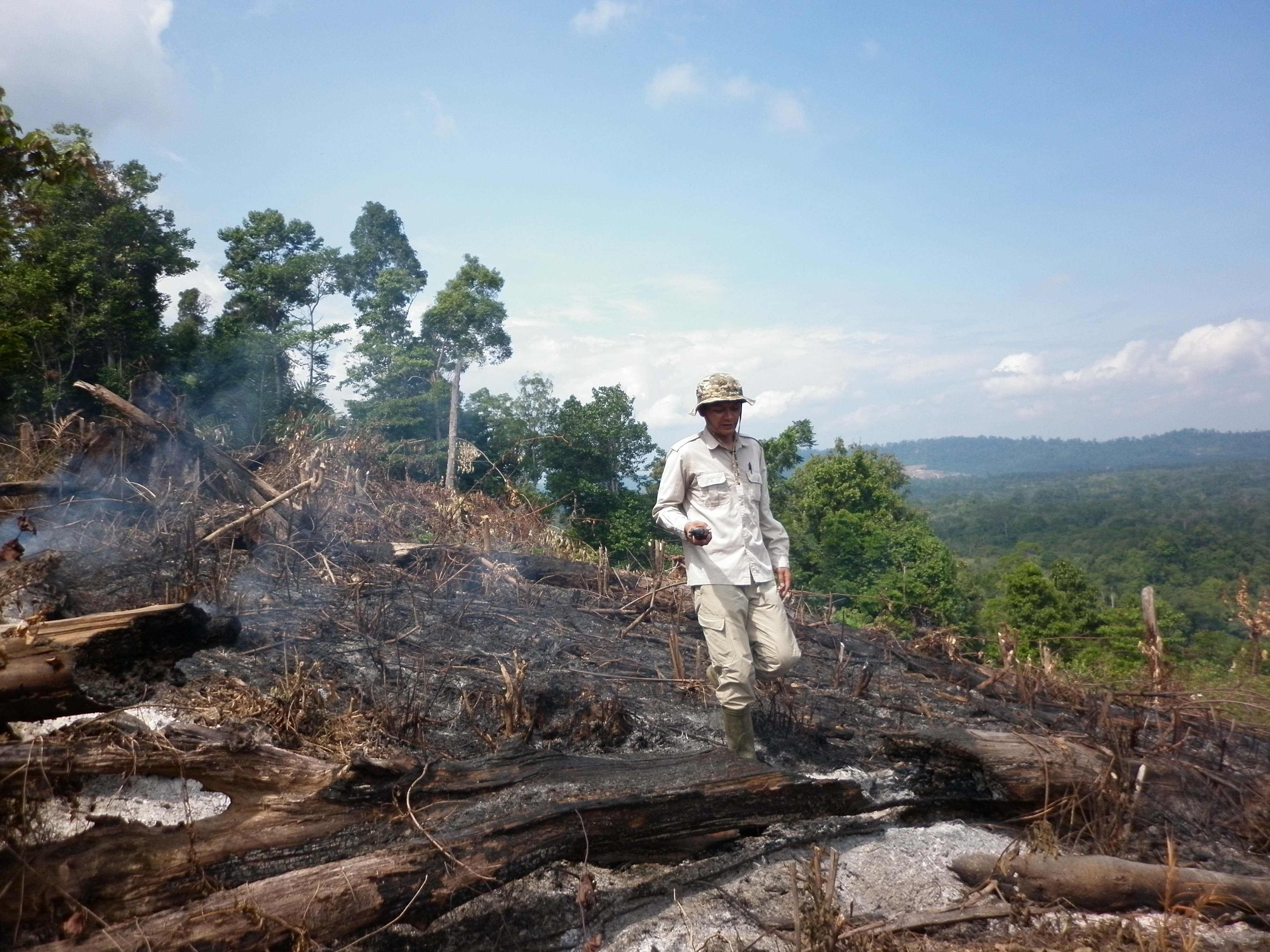 The aftermath of a forest fire in Sumatra, Indonesia ©ZSL