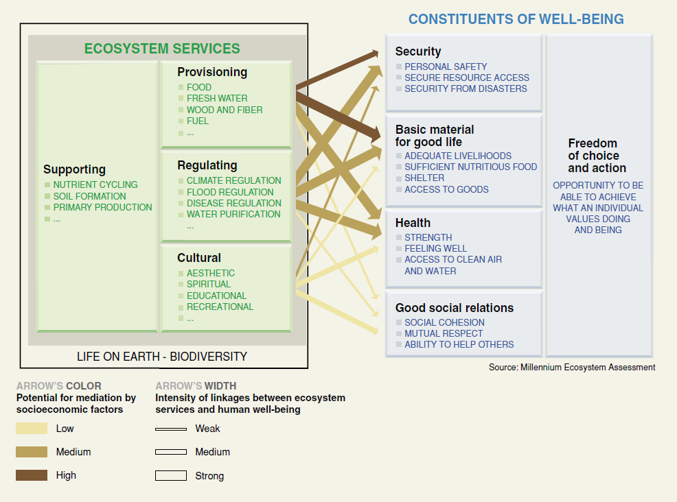 The relationship between ecosystem services and wellbeing ©WRI