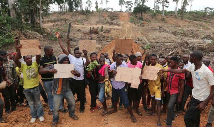 Famers protesting a palm oil companies destruction of their lands, Nigeria © Friend of the Earth