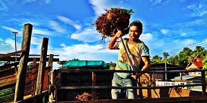 worker in Malaysia by Pison Jaujip 350x150